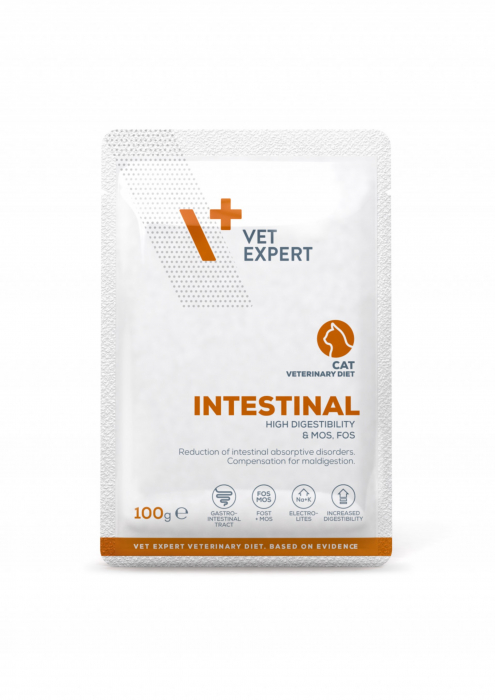 4T Dieta Veterinara pisici Intestinal Cat, VetExpert, plic 100g