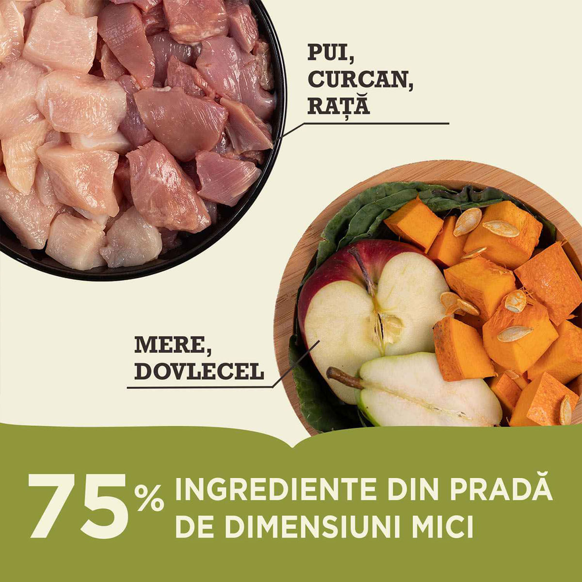 ACANA Highest Protein Grasslands, Rață și Pui, hrană uscată fără cereale pisici, 4.5kg - poza 5