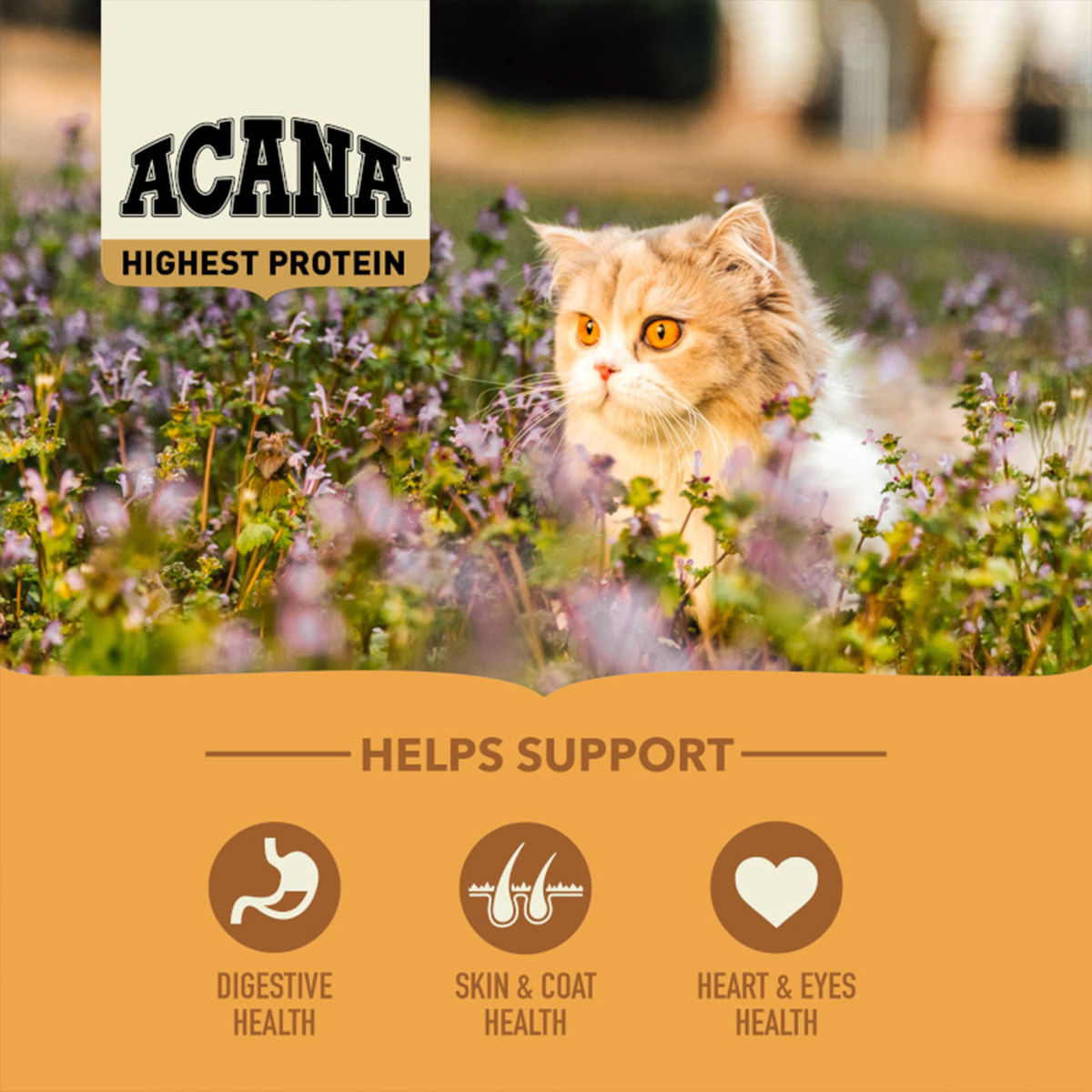 ACANA Highest Protein Wild Prairie, hrană uscată fără cereale pisici, 1.8kg - poza 4