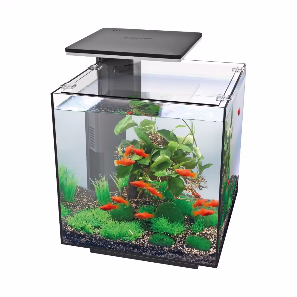 Acvariu Hailea QUBIQ 30 LED - negru