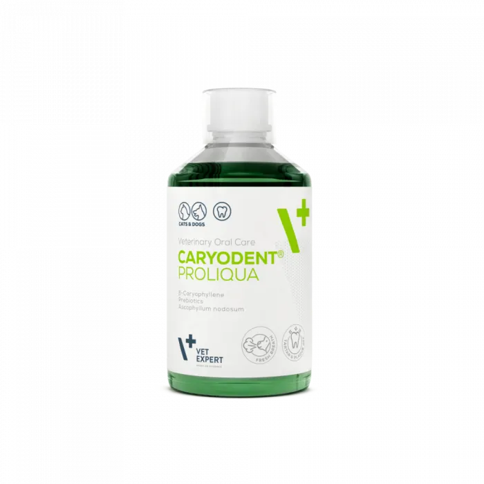 Aditiv oral pentru sanatatea cavitatii bucale la caini pisici Caryodent Proliqua 250 ml