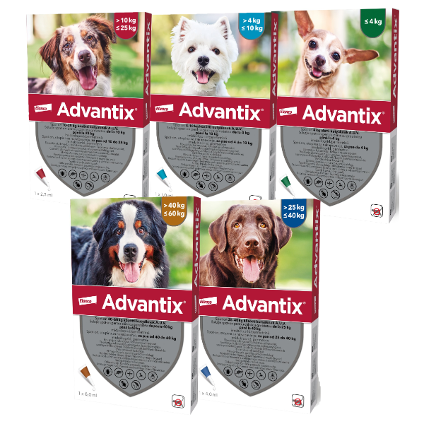 Advantix Pipeta Caine - m