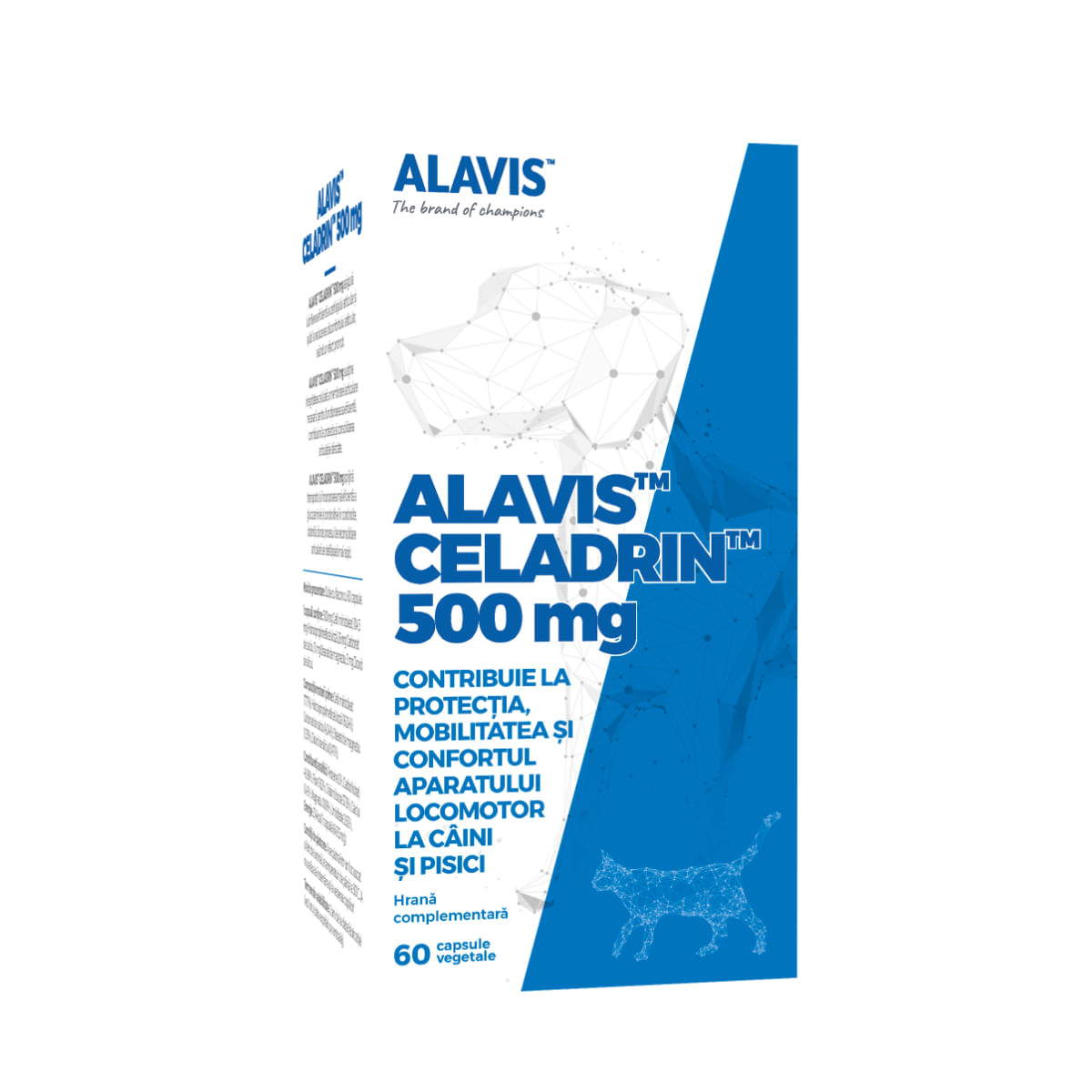 ALAVIS Celadrin 500mg, supliment sistem articular, sistem osos câini, capsule ALAVIS Celadrin 500mg, XS-XL, supliment sistem articular, sistem osos câini, flacon, 60 capsule - poza 1