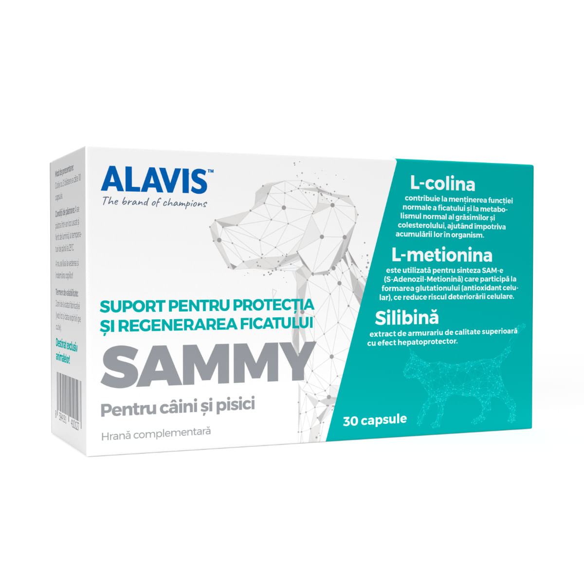 ALAVIS Sammy, supliment sistem hepatic câini, capsule ALAVIS Sammy, XS-XL, supliment sistem hepatic câini și pisici, flacon, 30 capsule - poza 2