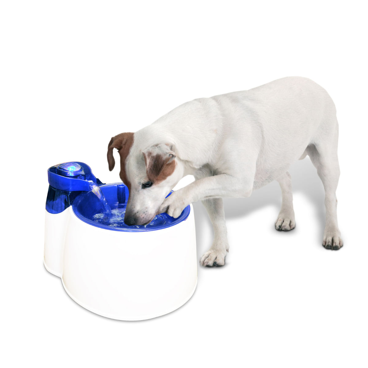 ALL FOR PAWS Fountain Fresh, fântână câini, rotundă, plastic, diverse culori, XS-M(3l) - poza 3