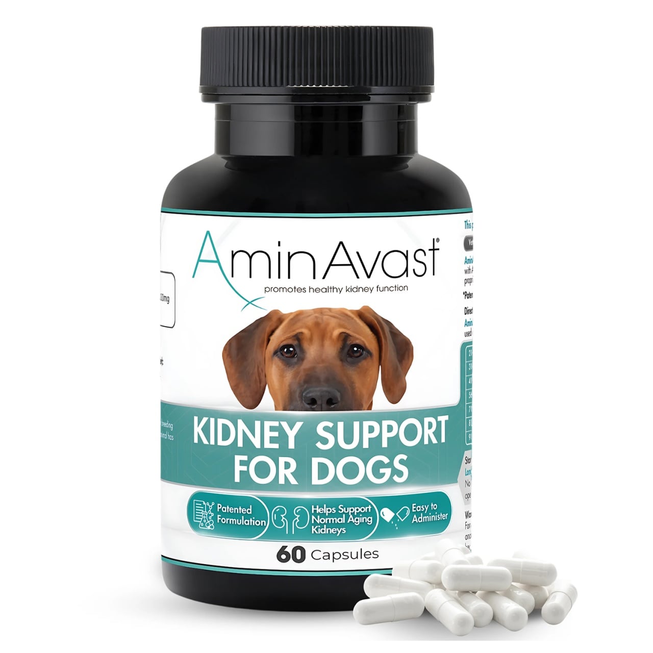AminAvast Caine, 60 capsule