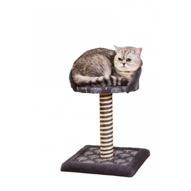 Ansamblu de Joaca Mon Petit Ami Thomas, 33 x 33 x H45 cm - poza 1