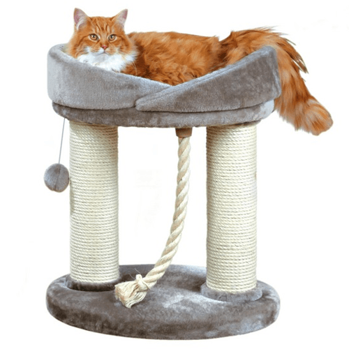 Ansamblu de Joaca pentru Pisici Marcela 60 cm - poza 1