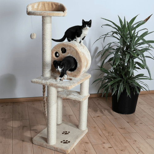 Ansamblu de Joaca pentru Pisici Salamanca 138 cm - poza 3