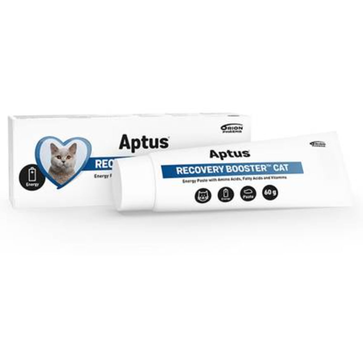 APTUS Recovery Booster, supliment convalescență pisici, pastă orală APTUS Recovery Booster, supliment convalescență pisici, tub, 60g pastă orală - poza 1