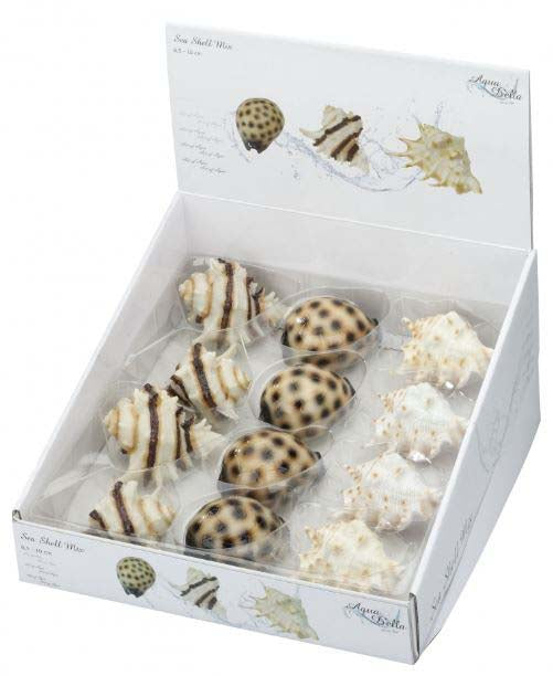 AQUA D'ELLA Decoraţiune pentru acvarii Scoici, mix 8,5-10cm