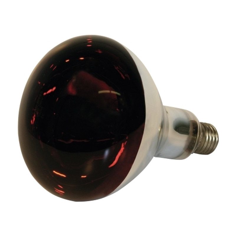 Bec Infrarosu 150 W Culoare Rosie, Albert Kerbl