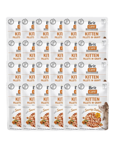 BRIT CARE Fillets in Gravy Pouch Kitten Savory Salmon 24x85g Hrana umeda pisoi, cu somon in sos