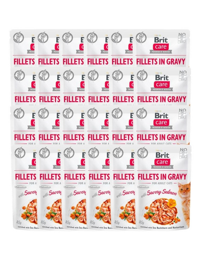BRIT Care Fillets in gravy savory salmon Hrana umeda pentru pisici adulte, cu somon in sos 24 x 85 g