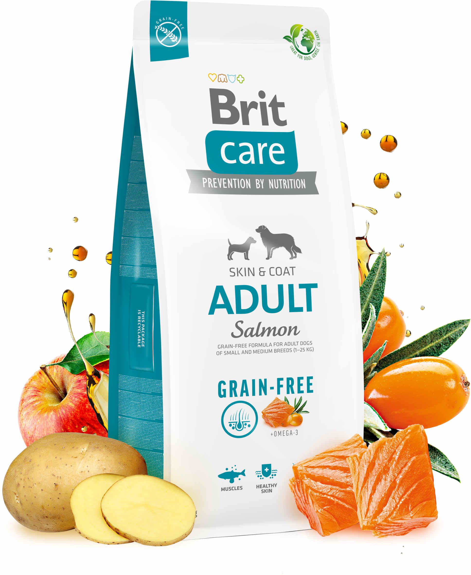 BRIT CARE Grain-free Adult, cu Somon şi Cartofi