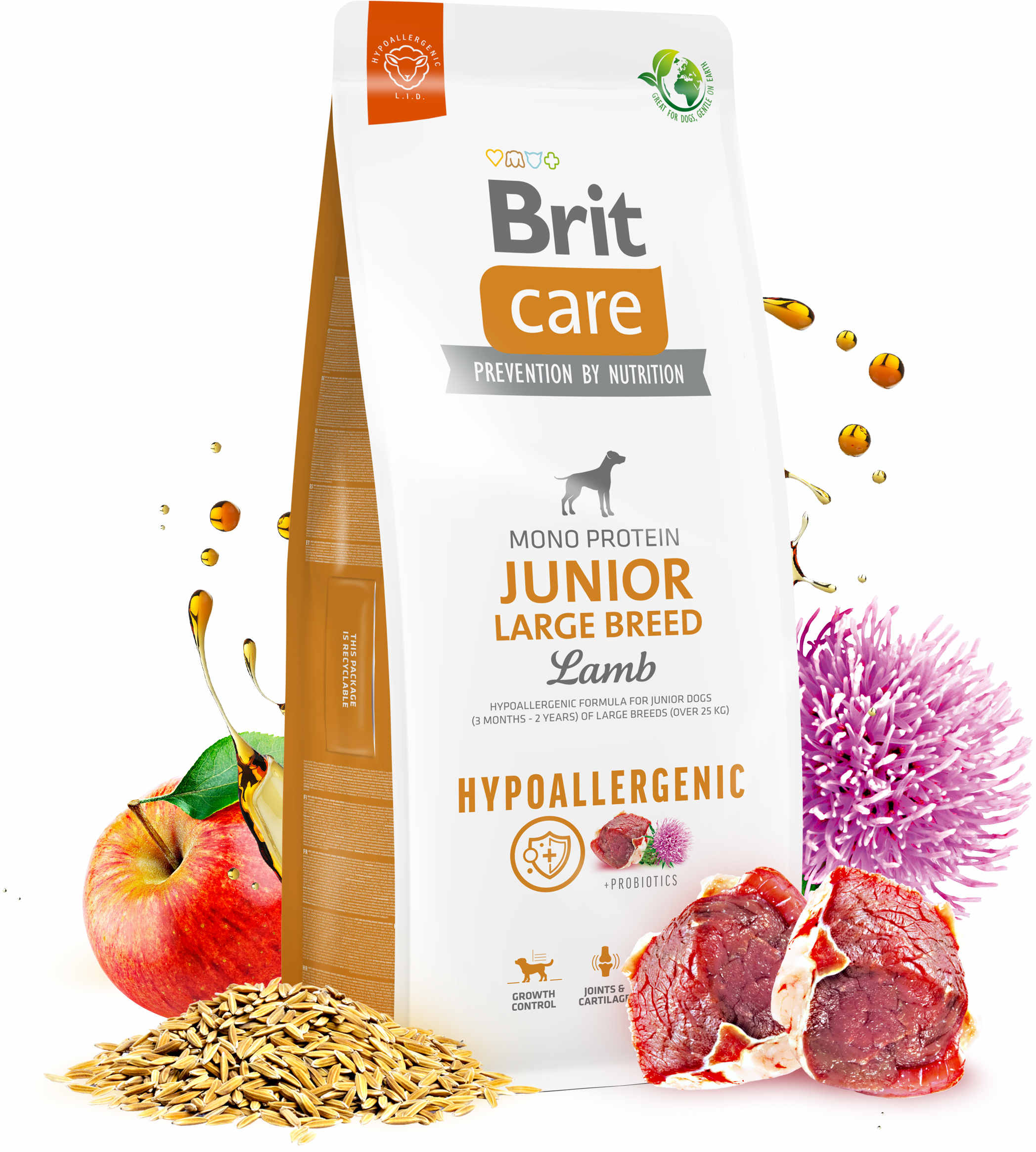 BRIT CARE Hypoallergenic JUNIOR Large Breed, cu Miel şi Orez