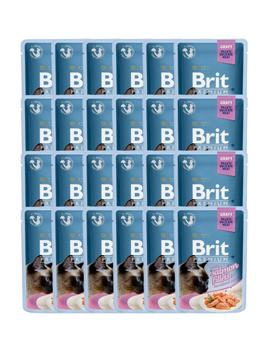 BRIT Premium Cat Delicate fillets in gravy 24x85g cu somon, plicuri pentru pisica