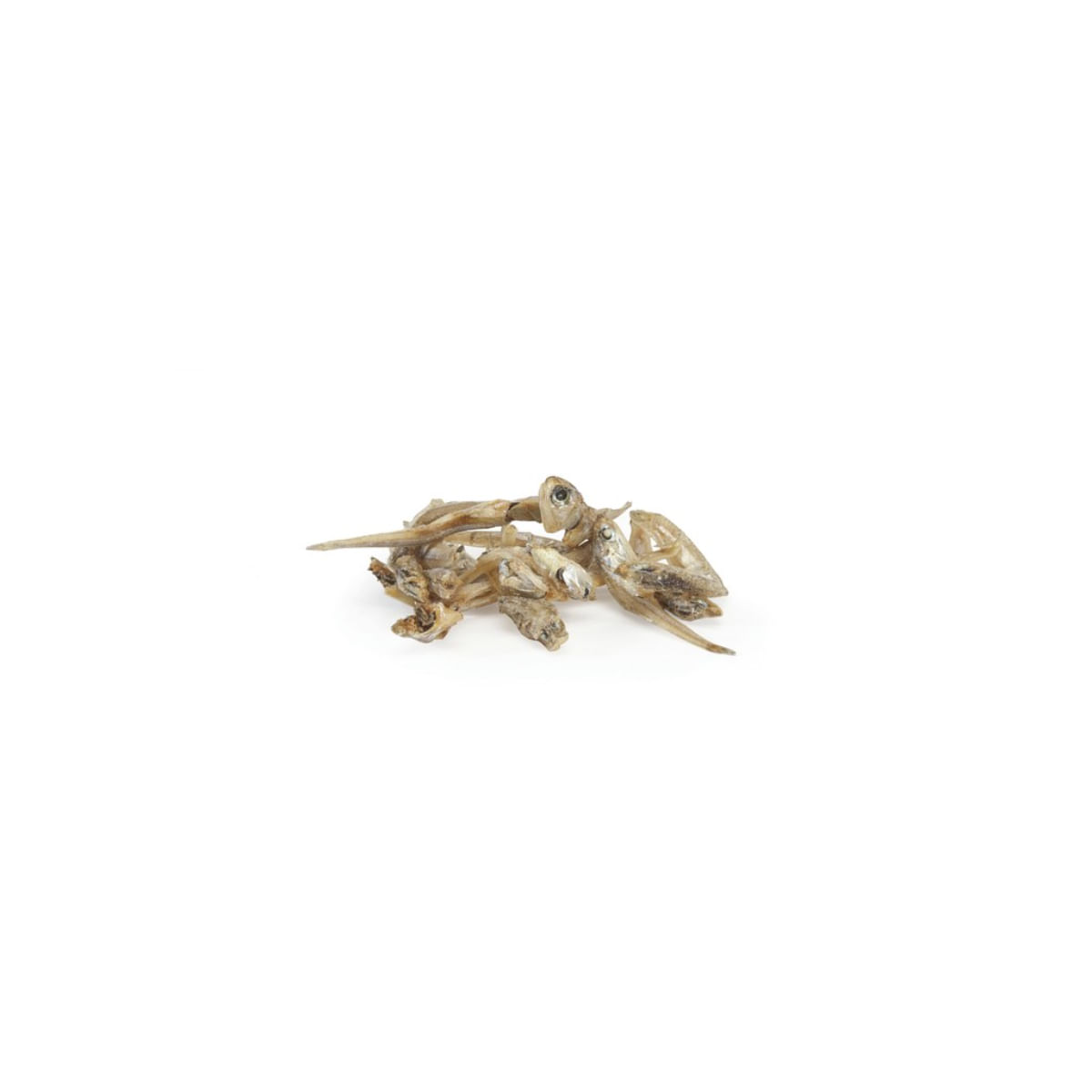 CAMON Dried Anchovies, Anșoa, cutie recompense monoproteice pisici, 30g - poza 3