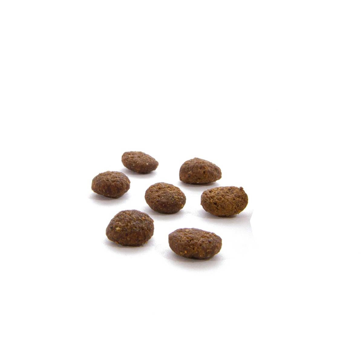 CANAGAN Dental, Curcan, hrană uscată fără cereale pisici junior & adult, sensibilități dentare, 1.5kg - poza 3