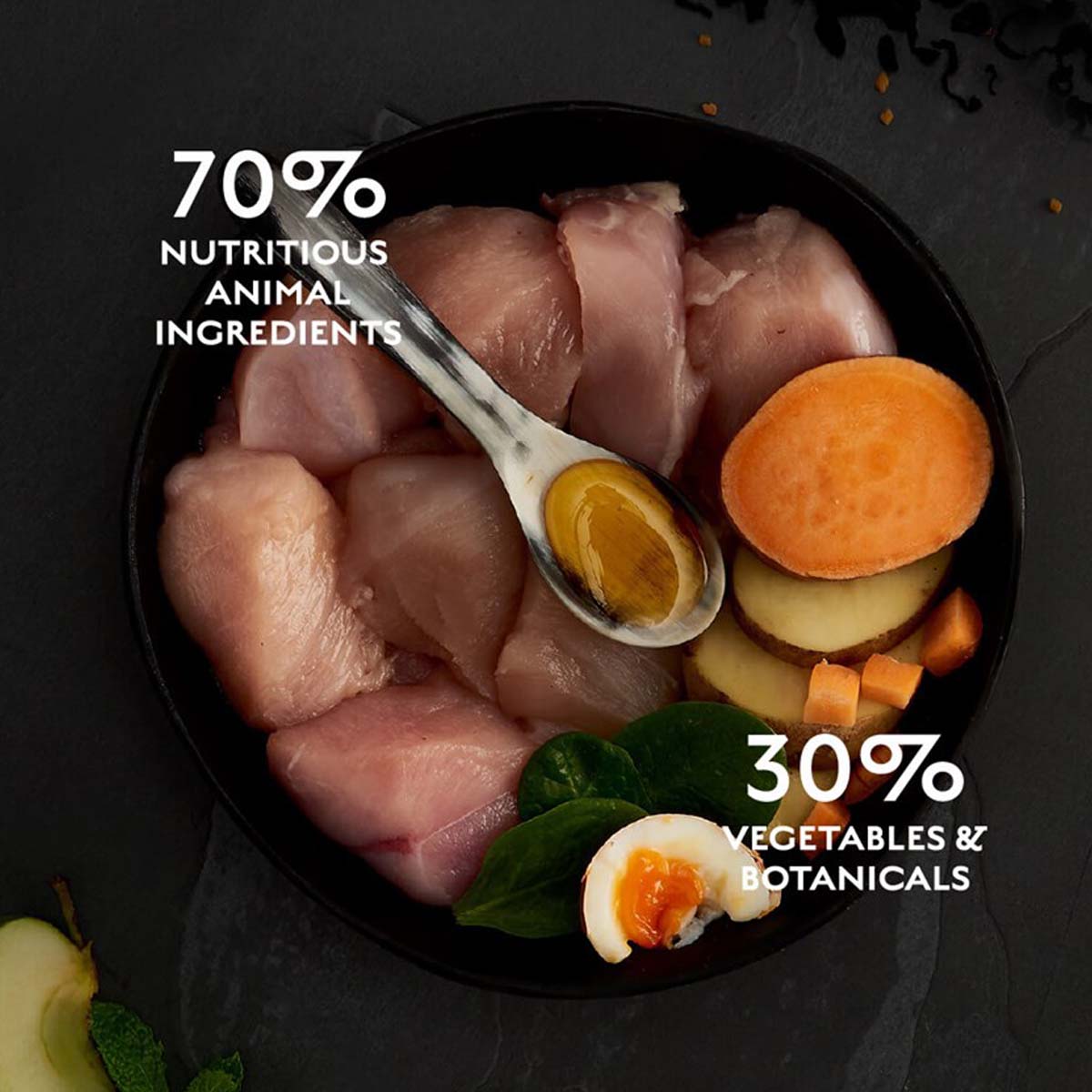 CANAGAN Free Range Chicken, Pui, hrană uscată fără cereale pisici junior & adult, 1.5kg - poza 5