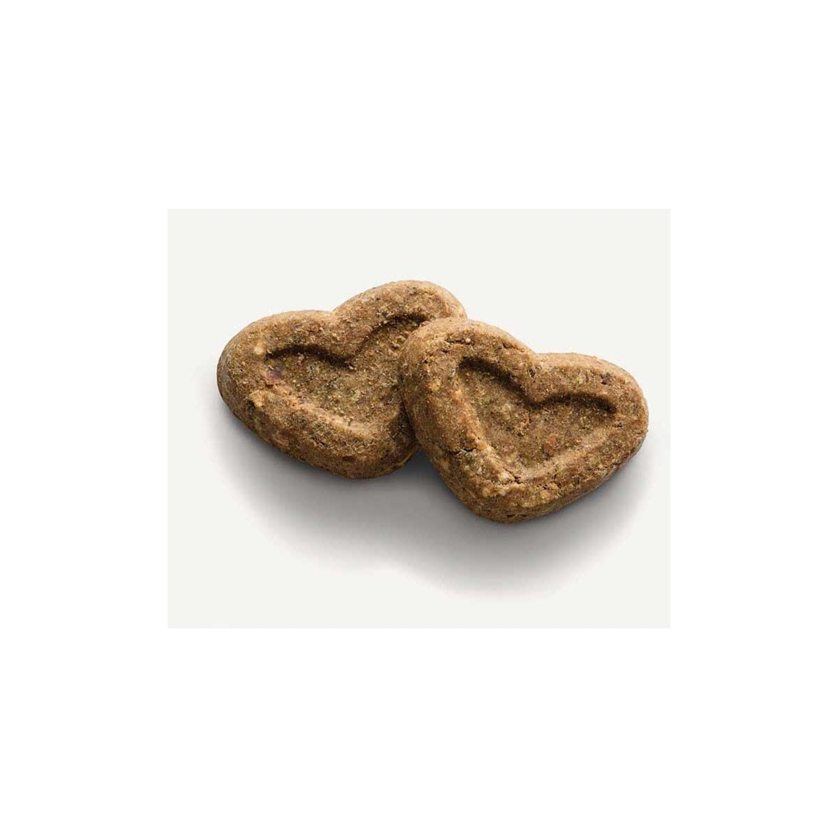 CANAGAN Omega Rich Salmon Biscuit Bakes, XS-XL, Somon, punguță recompense fără cereale câini junior & adult, 150g - poza 3
