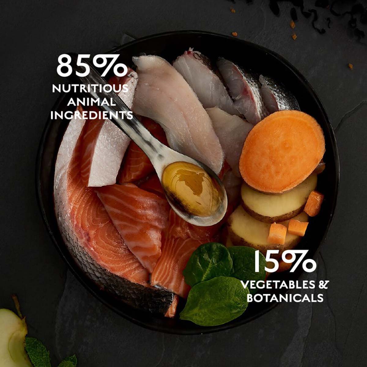 CANAGAN Scottish Salmon, Somon, hrană uscată fără cereale pisici junior & adult, 375g - poza 5
