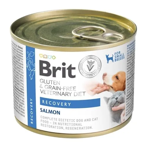 Conserva dietetica pentru caini pisici Brit GF Recovery 200 gr