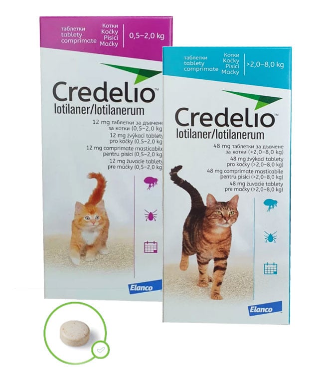 Credelio Pisica, 1 tableta - poza 1