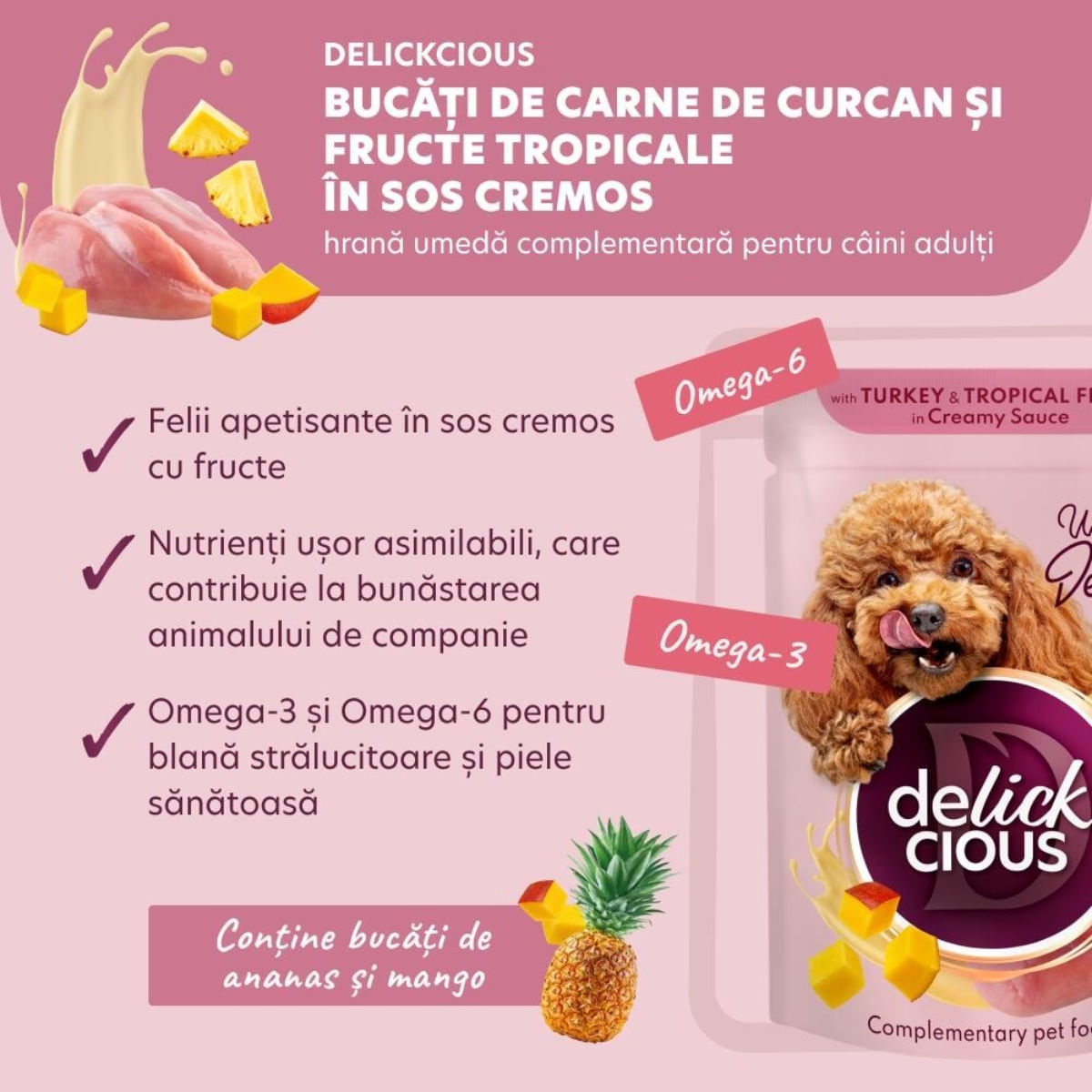 DELICKCIOUS Dessert, XS-S, Curcan și Fructe Tropicale, plic hrană umedă câini, (în sos), bax, 80g x 12buc - poza 5