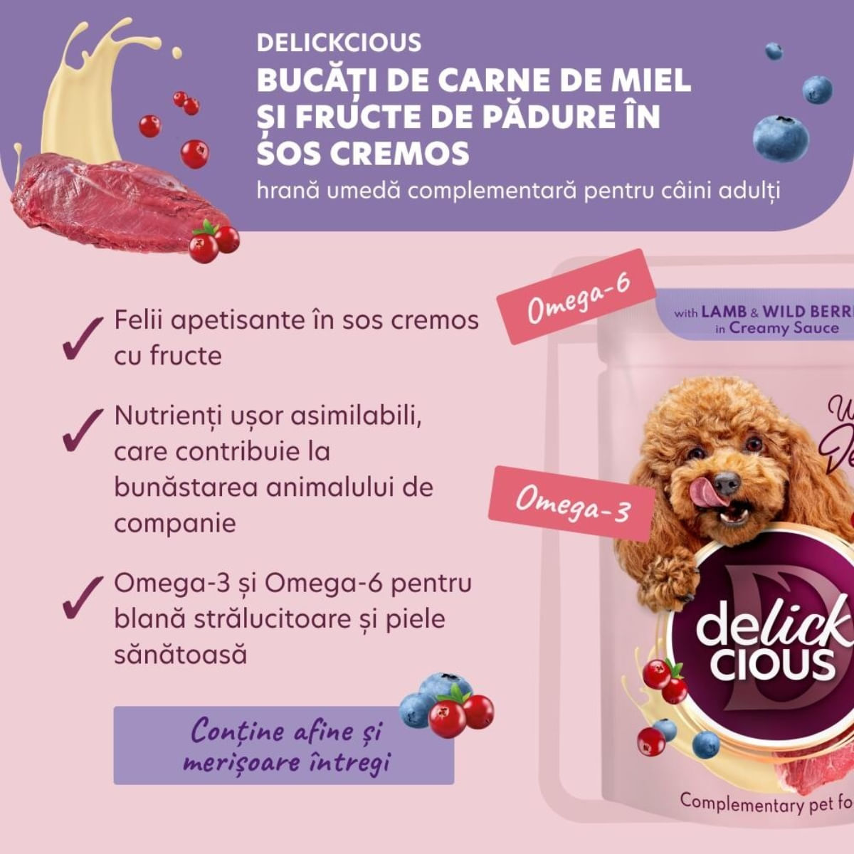DELICKCIOUS Dessert, XS-S, Miel și Fructe de Pădure, plic hrană umedă câini, (în sos), bax, 80g x 12buc - poza 4