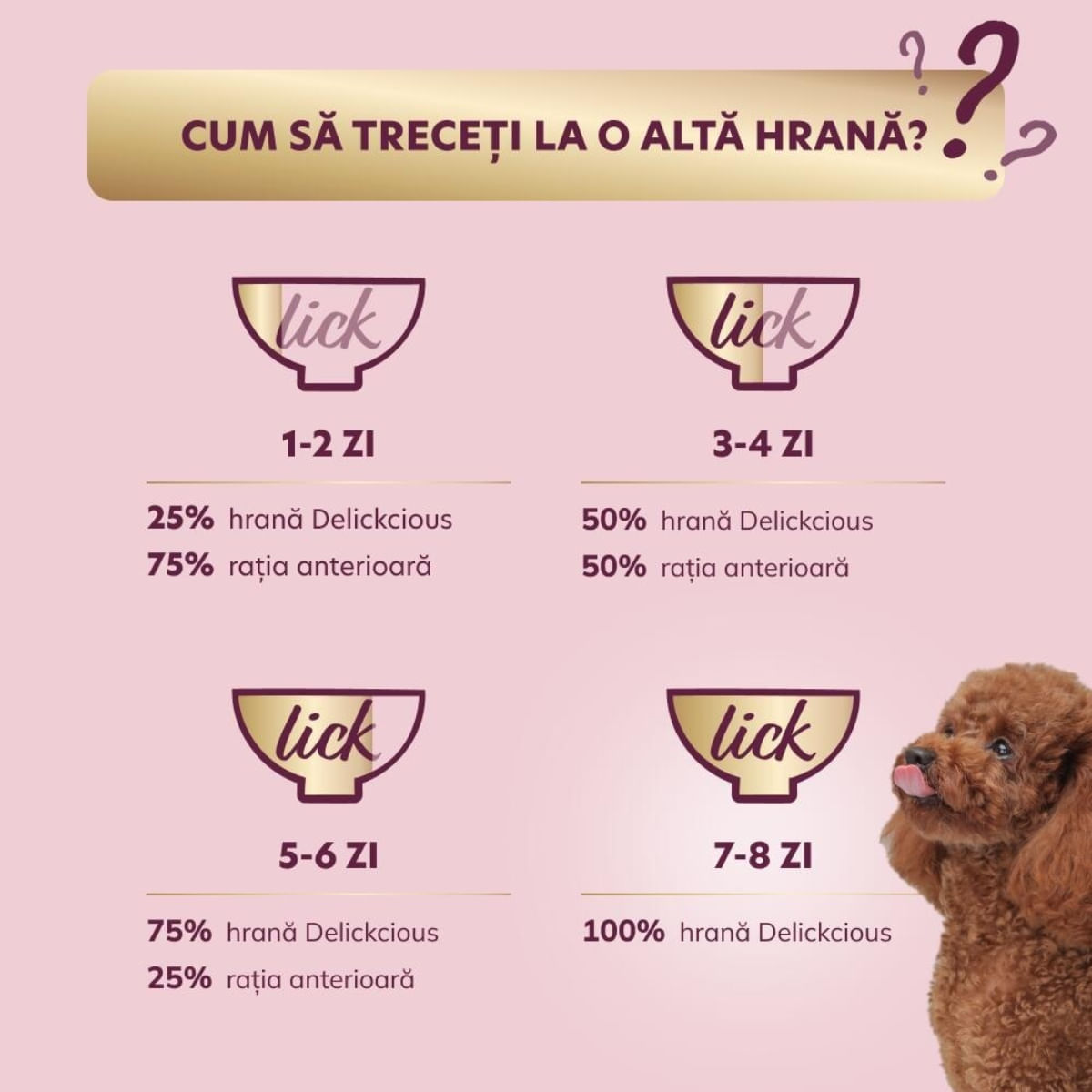 DELICKCIOUS Dinner, XS-S, Curcan și Brânză, plic hrană umedă câini, (în supă), 85g - poza 5