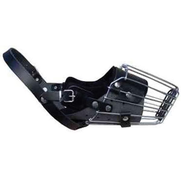 Dingo Botnita Metal Pitbull 4159