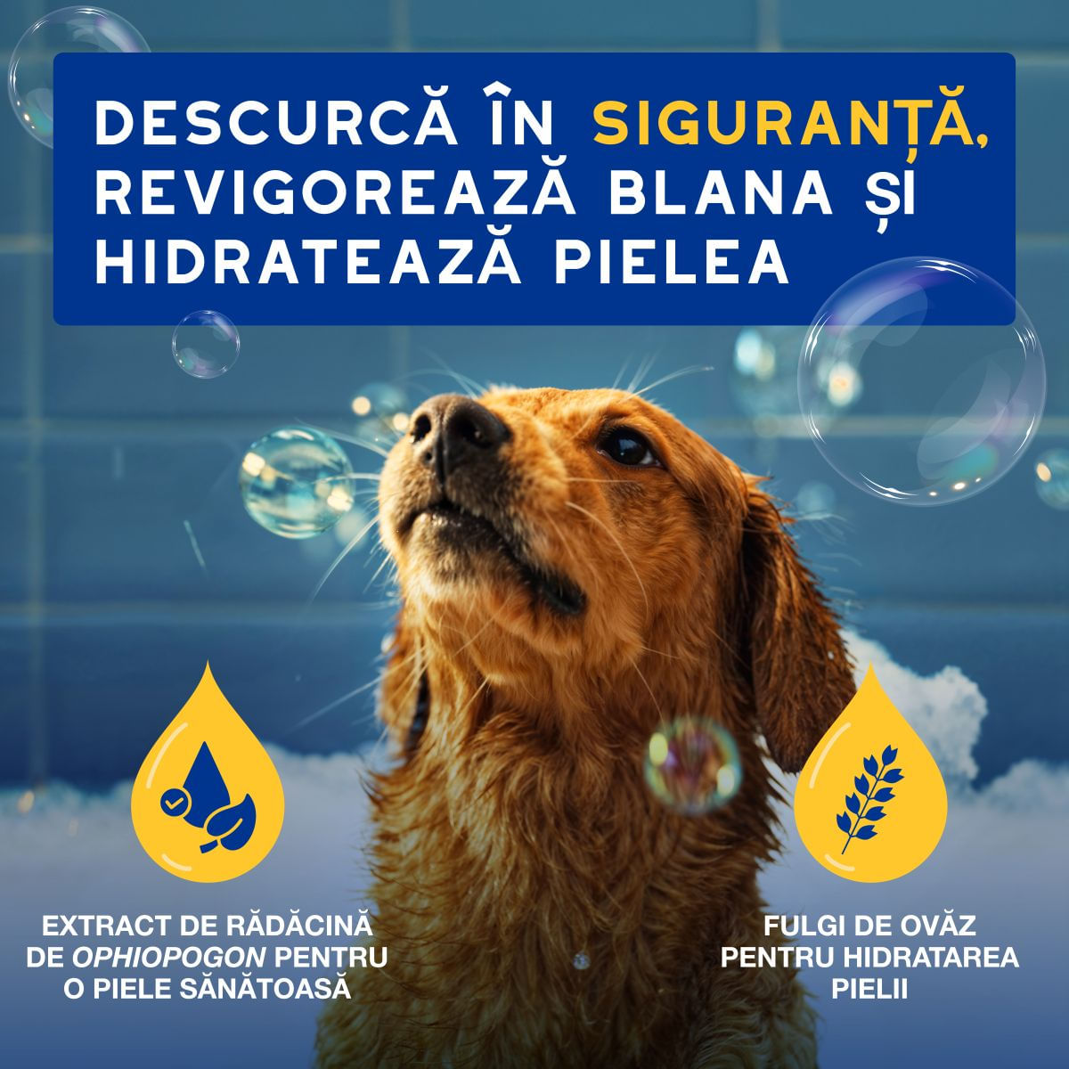 DOUXO SPA Conditioner Oatmeal, balsam câini, hidratant, descâlcirea blănii, Vanilie și Nucă de cocos, flacon, 250ml - poza 3