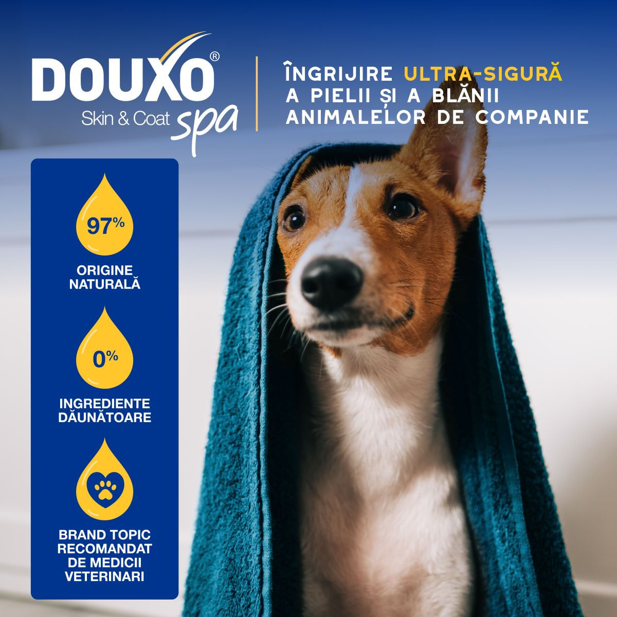 DOUXO SPA Conditioner Oatmeal, balsam câini, hidratant, descâlcirea blănii, Vanilie și Nucă de cocos, flacon, 250ml - poza 5