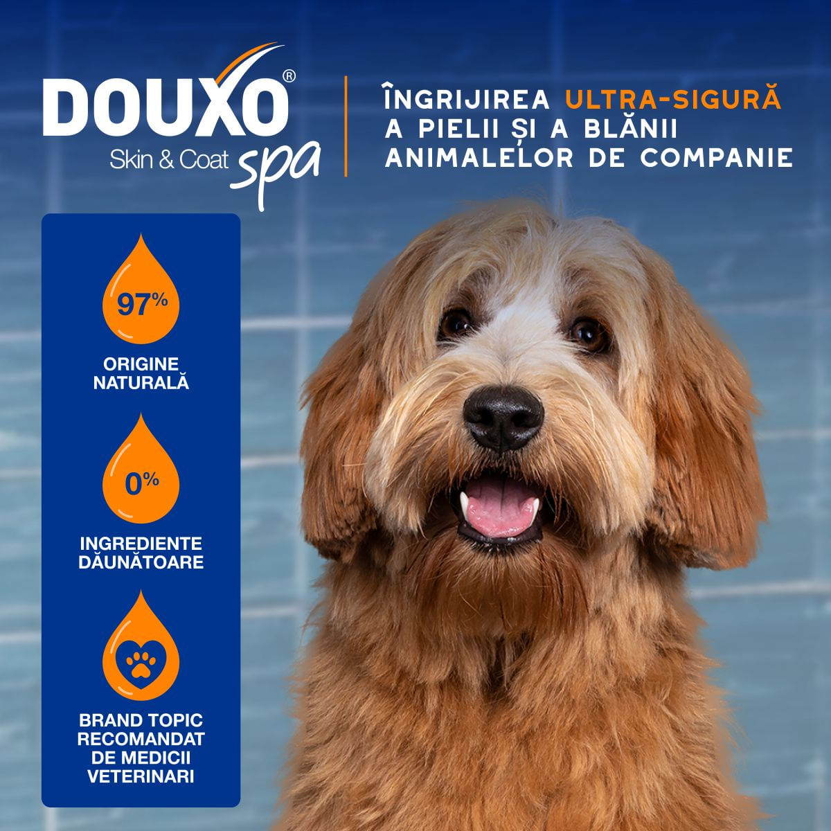 DOUXO SPA Detangling, spray descâlcit câini, descâlcirea blănii, Vanilie și Nucă de cocos, flacon, 295ml - poza 5