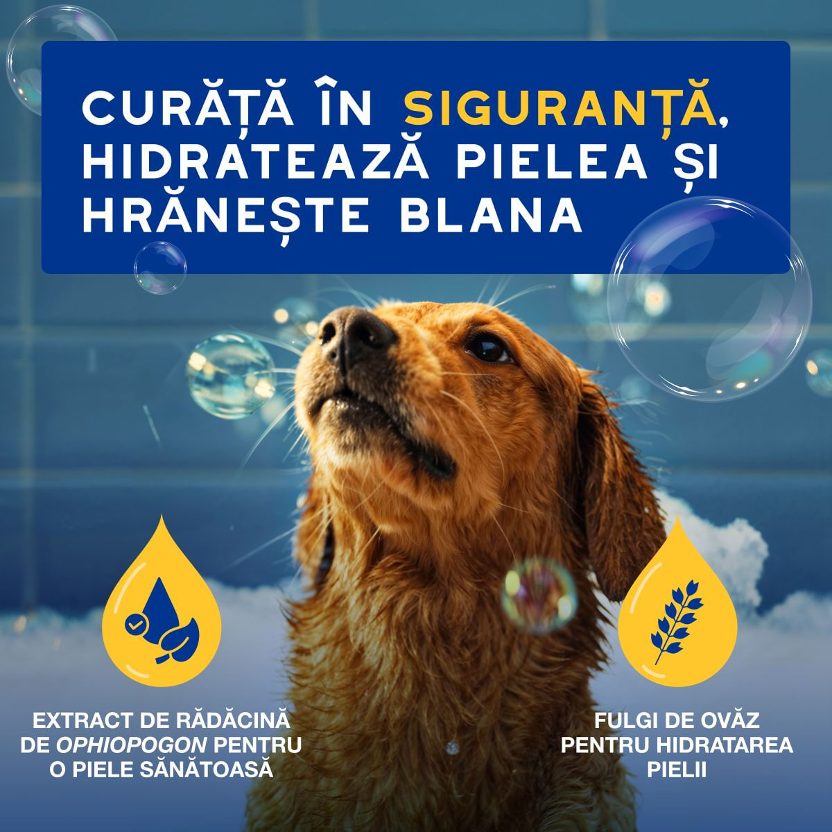 DOUXO SPA Hydrating Oatmeal, șampon câini, hidratant, Vanilie și Nucă de cocos, flacon, 250ml - poza 3