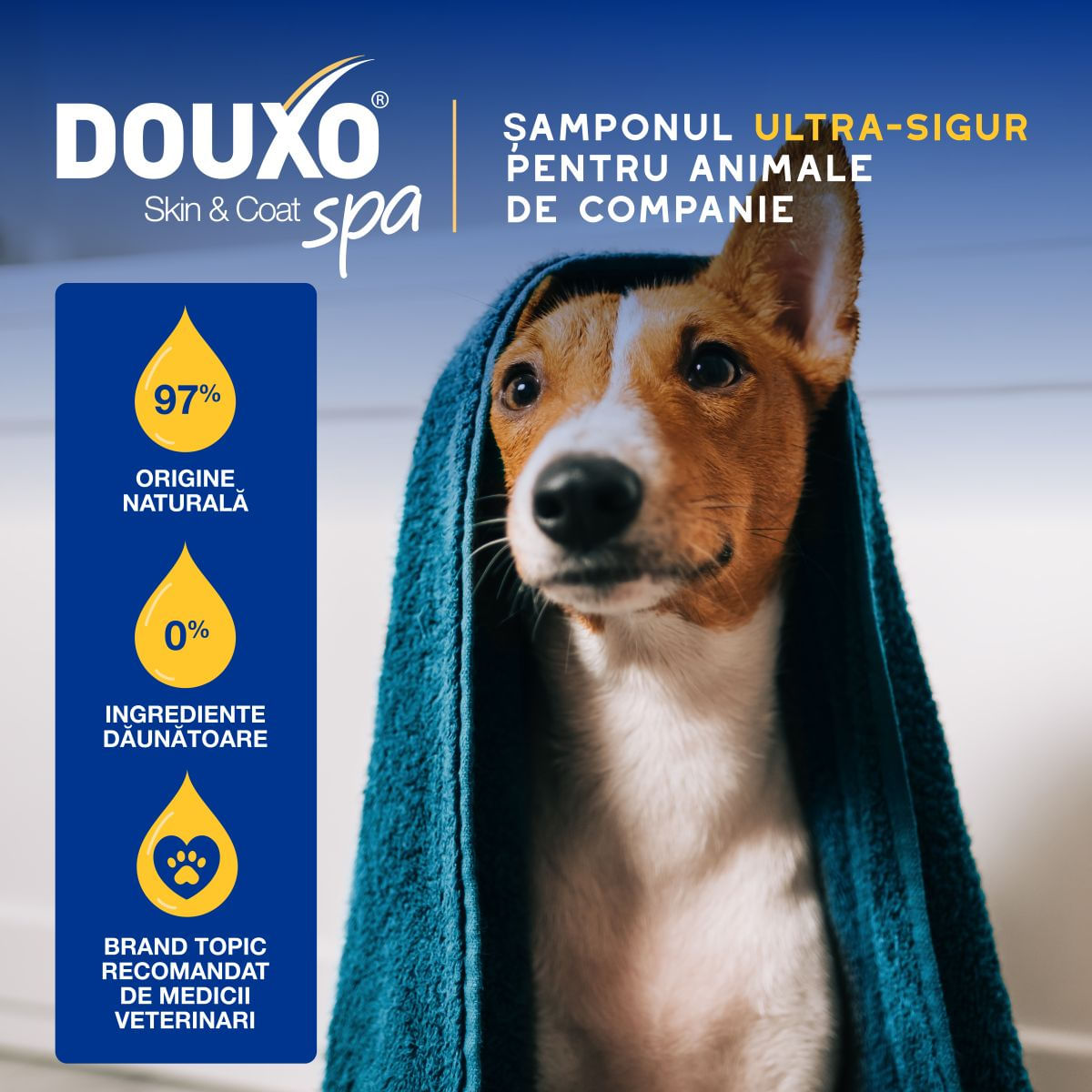 DOUXO SPA Hydrating Oatmeal, șampon câini, hidratant, Vanilie și Nucă de cocos, flacon, 250ml - poza 5