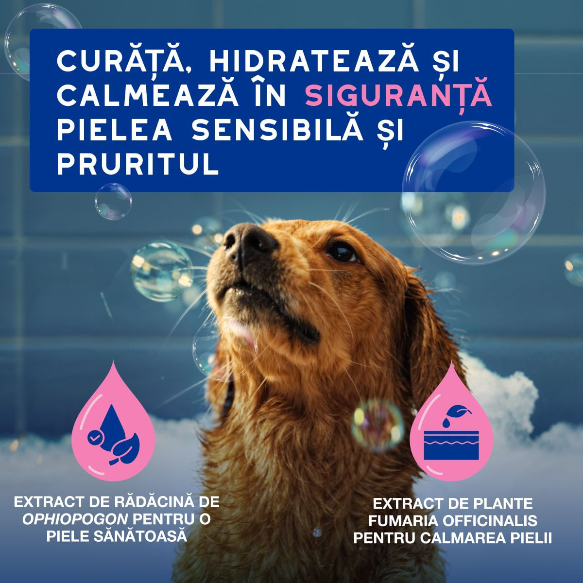 DOUXO SPA Itch Soothing, șampon câini, anti-mâncărime, calmant, Vanilie și Nucă de cocos, flacon, 250ml - poza 3