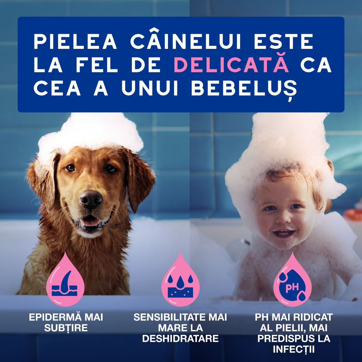 DOUXO SPA Itch Soothing, șampon câini, anti-mâncărime, calmant, Vanilie și Nucă de cocos, flacon, 250ml - poza 4