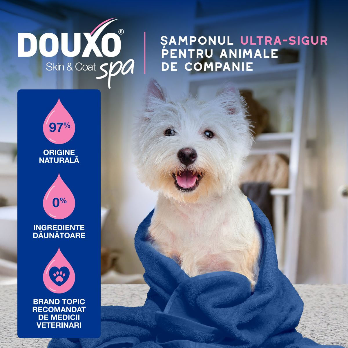 DOUXO SPA Itch Soothing, șampon câini, anti-mâncărime, calmant, Vanilie și Nucă de cocos, flacon, 250ml - poza 5