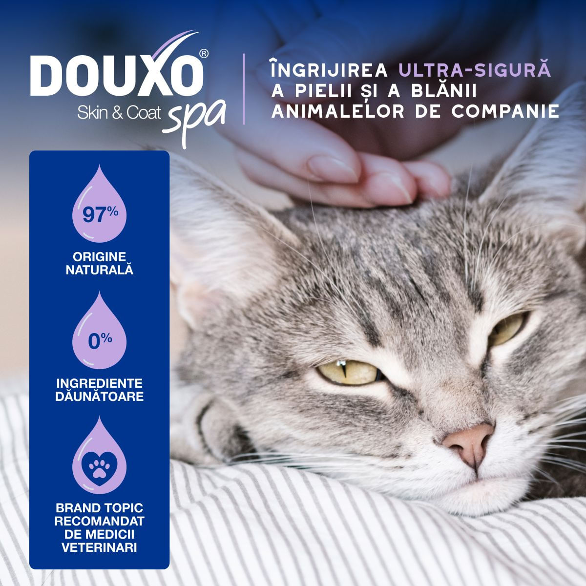 DOUXO SPA Low-Stress Refresh Mousse, șampon spumă pisici, fără clătire, hidratantă, Vanilie și Nucă de cocos, flacon cu aplicator, 150ml - poza 5