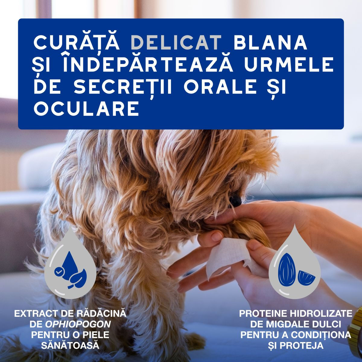 DOUXO SPA Multipurpose , șervețele umede câini și pisici, hipoalergenice, Vanilie și Nucă de cocos, resigilabil, 100buc - poza 3