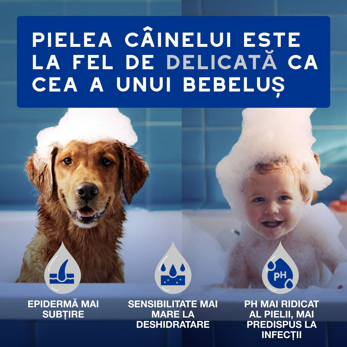DOUXO SPA Multipurpose , șervețele umede câini și pisici, hipoalergenice, Vanilie și Nucă de cocos, resigilabil, 100buc - poza 4