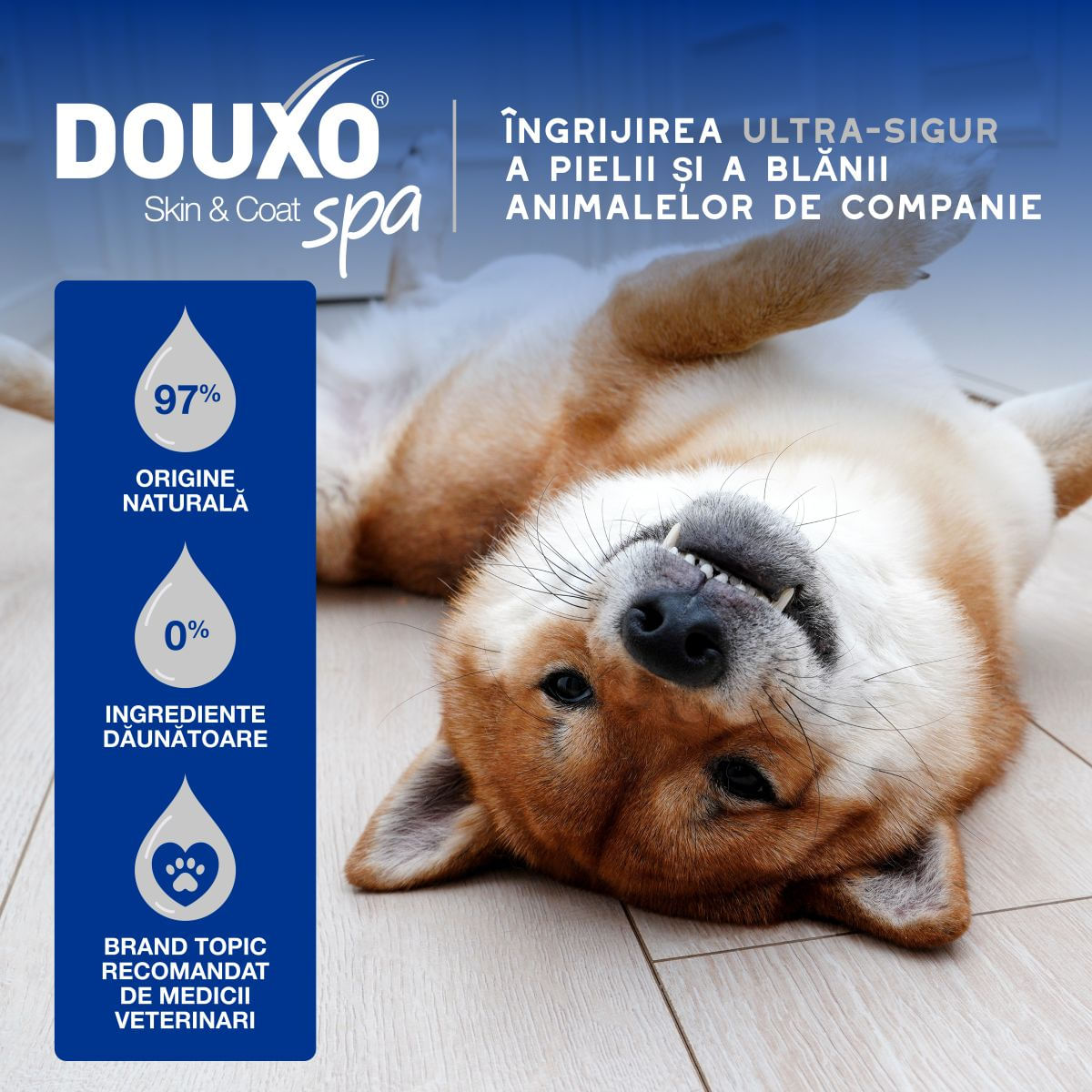 DOUXO SPA Multipurpose , șervețele umede câini și pisici, hipoalergenice, Vanilie și Nucă de cocos, resigilabil, 100buc - poza 5
