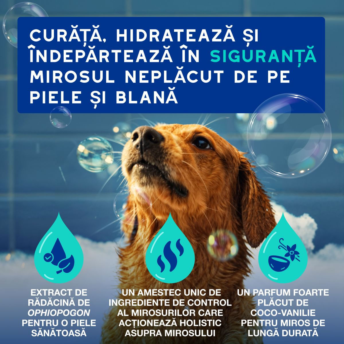 DOUXO SPA Odor Control, șampon câini, anti-mătreață, Vanilie și Nucă de cocos, flacon, 250ml - poza 3