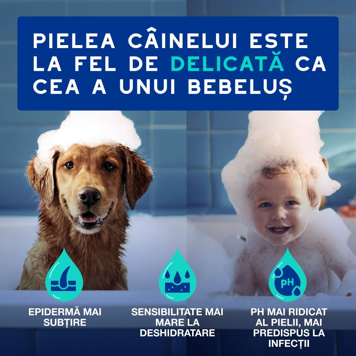 DOUXO SPA Odor Control, șampon câini, anti-mătreață, Vanilie și Nucă de cocos, flacon, 250ml - poza 4