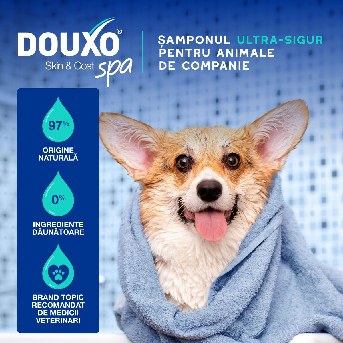 DOUXO SPA Odor Control, șampon câini, anti-mătreață, Vanilie și Nucă de cocos, flacon, 250ml - poza 5