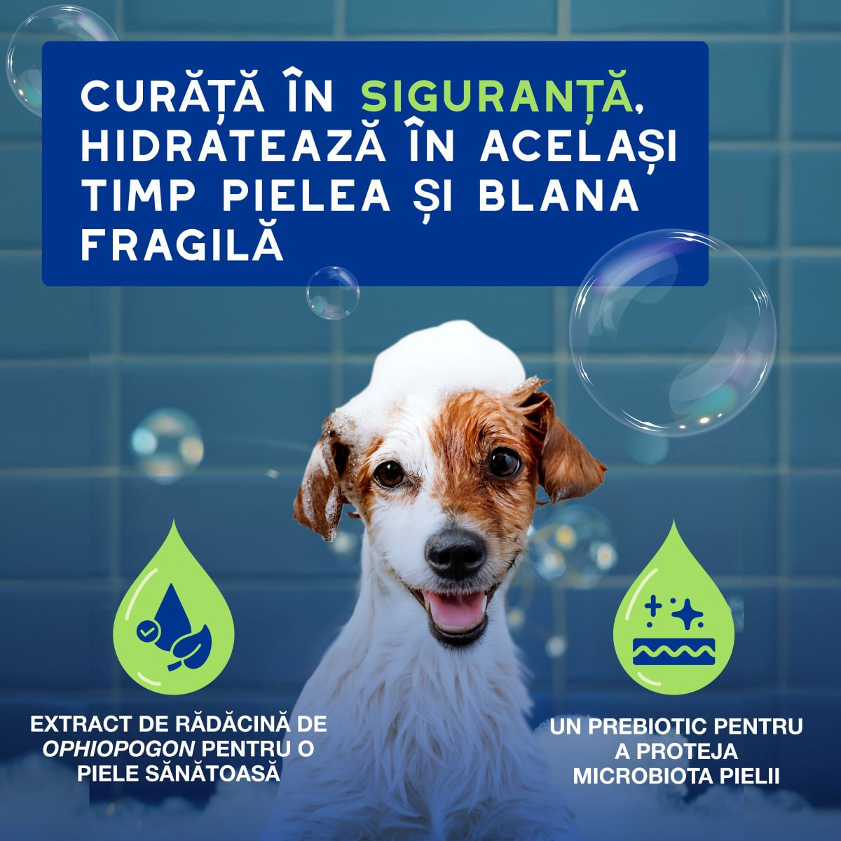 DOUXO SPA Puppy, șampon câini junior, hidratant, hipoalergenic, Vanilie și Nucă de cocos, flacon, 250ml - poza 3