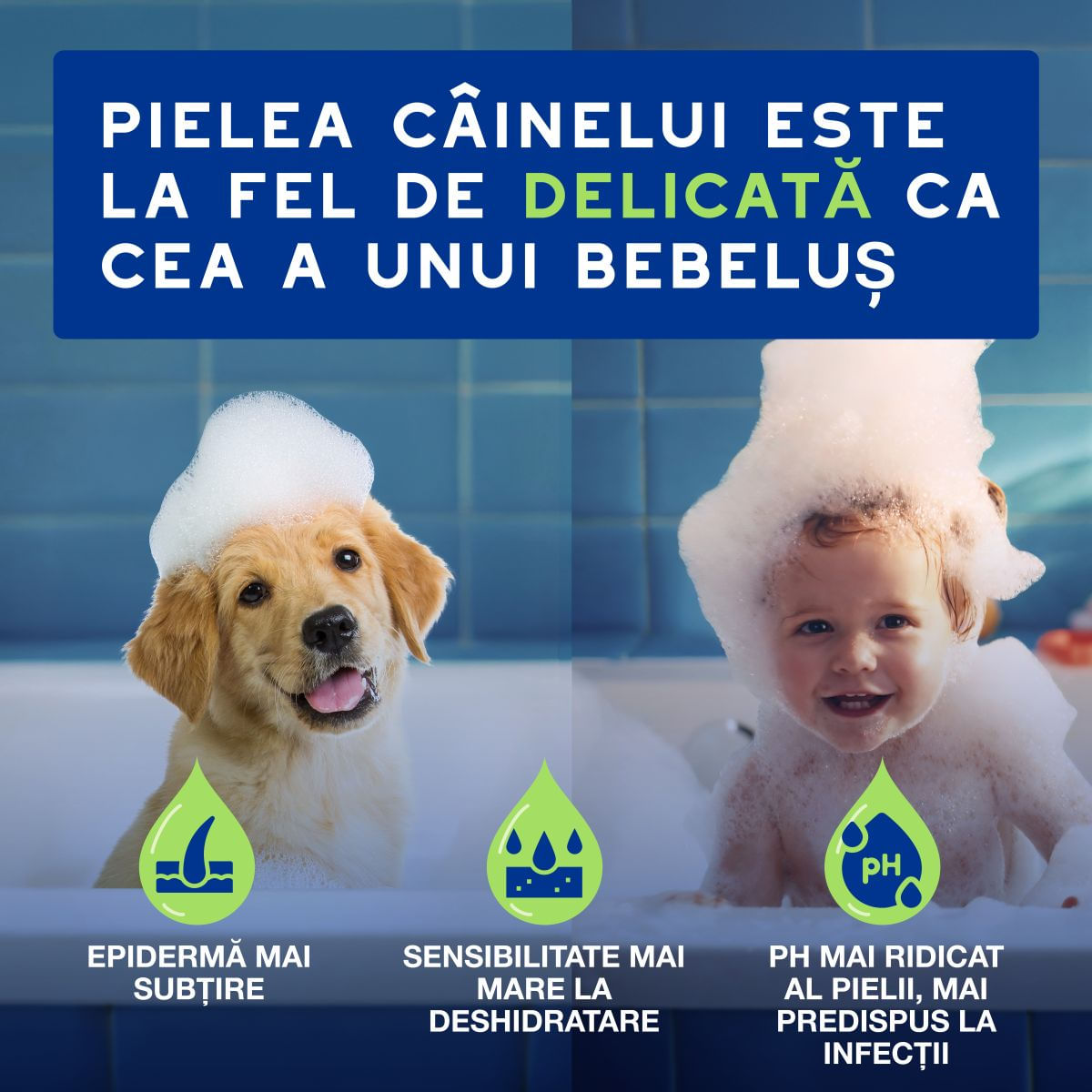 DOUXO SPA Puppy, șampon câini junior, hidratant, hipoalergenic, Vanilie și Nucă de cocos, flacon, 250ml - poza 4