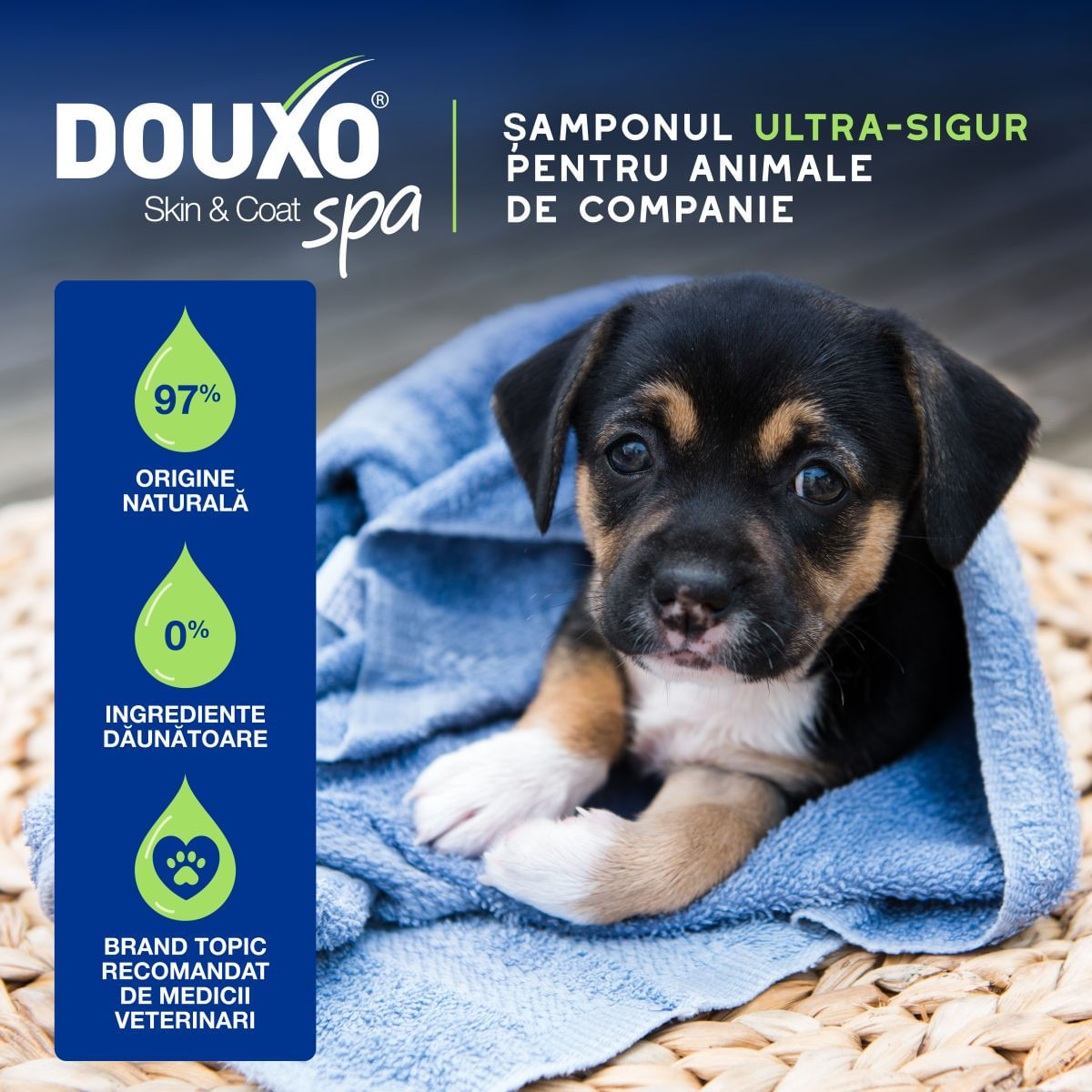 DOUXO SPA Puppy, șampon câini junior, hidratant, hipoalergenic, Vanilie și Nucă de cocos, flacon, 250ml - poza 5